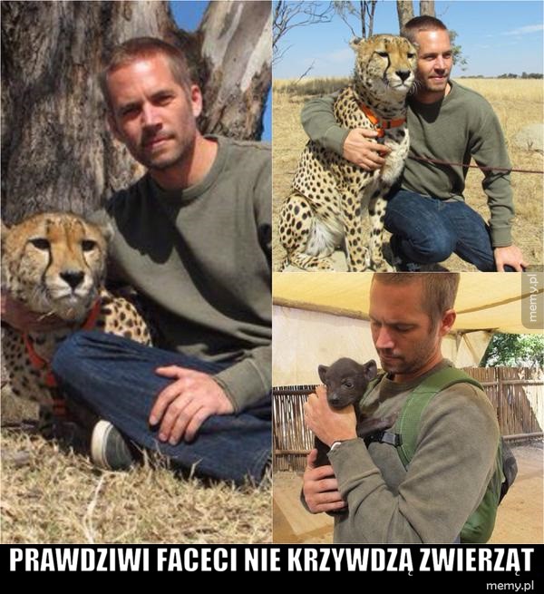 Paul Walker