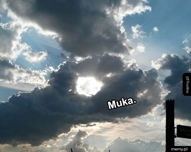 Muka