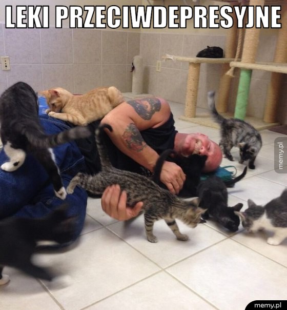           Leki