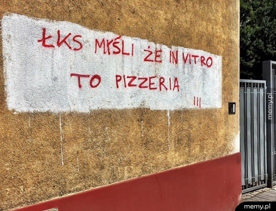 Kibice