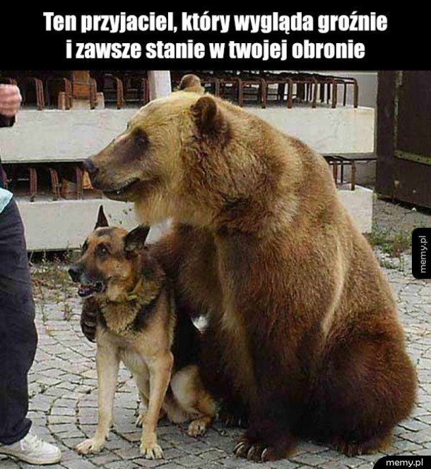 Kumpel