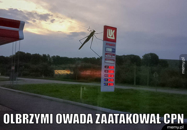 Najgorzej