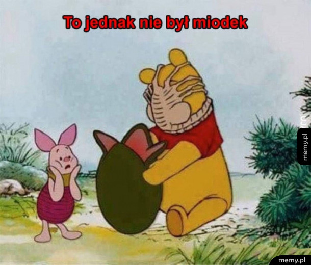 Puchatek