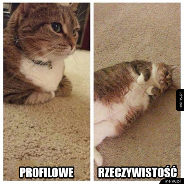 Smutna rzeczywistość