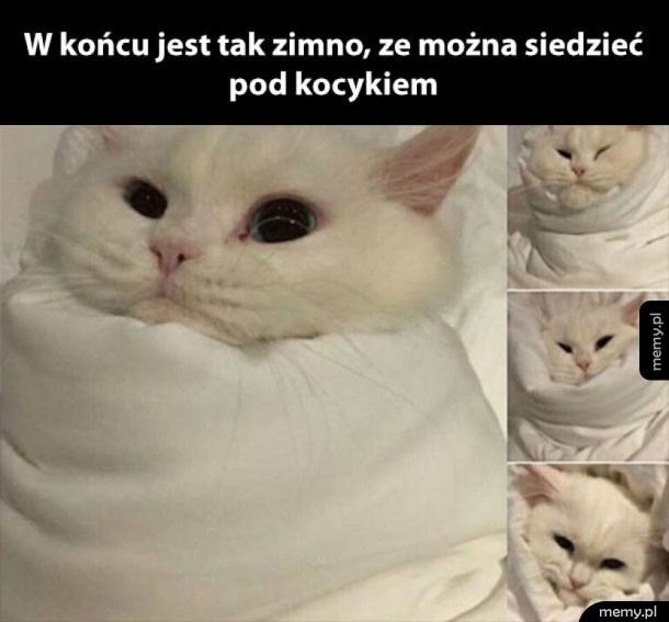 Nareszcie!